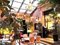 an indoor dining area with plants and chandeliers hanging from the ceiling, surrounded by potted plants