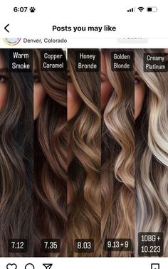 Balayage Hair Tones Chart, What Hair Color Looks Good On Tan Skin, Half Balayage Hair, Dark To Strawberry Blonde, Balayage Hair Brunette With Blonde Medium Lengths, Hair Color Inspo For Brunettes, Difference Between Balayage And Ombre, Hairstyles For Highlighted Hair, Darker To Lighter Hair