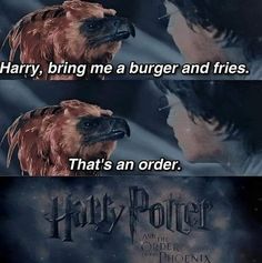 harry potter and the order of the phoenix movie poster with caption that reads, harry, bring me a burger and fries that's an order