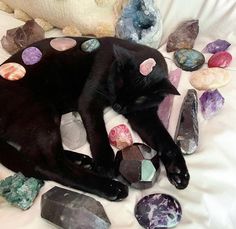 Black Cat With Crystals, Cats With Crystals, Cat With Crystals, Cat Emoji, Pretty Rocks, Sendai