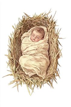 a drawing of a baby wrapped in a blanket laying on top of some dry grass