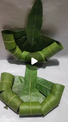 an origami plant with leaves on it