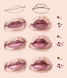 various lips with different shapes and sizes