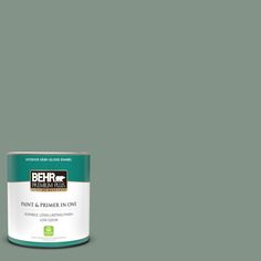 the behr paint is light gray and it has a green tint on top