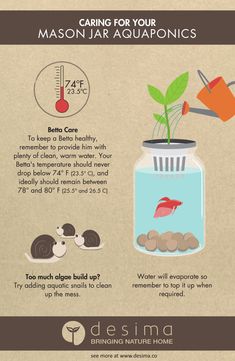 a poster with instructions on how to use mason jar aquaponics for fish and plants