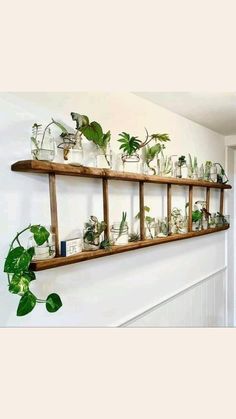 a wooden shelf filled with plants on top of a wall