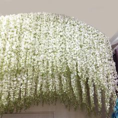 white flowers hanging from the side of a building