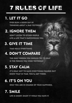 a lion's rules for life poster with the words, 7 rules of life