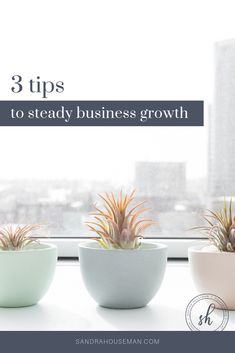 three potted plants sitting on top of a window sill with the words 3 tips to steady business growth