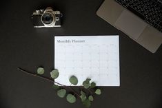 a desk with a camera, plant and calendar on it