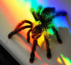 a colorful spider sitting on top of a white table next to a rainbow colored wall