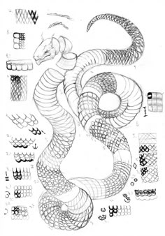 a drawing of a snake with many different shapes and sizes