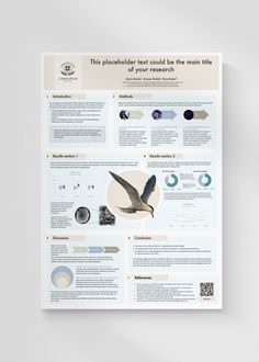 a poster with information about birds in flight