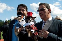 two men are holding small dogs dressed in costumes