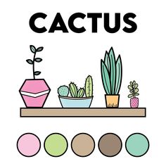 cactuses and succulents on a shelf with the words cactus