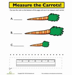 the carrots are measuring their height and how do they measure them with this worksheet