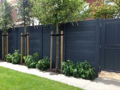 a row of trees in front of a black fence with green plants growing between them