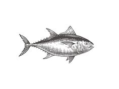 a black and white drawing of a fish