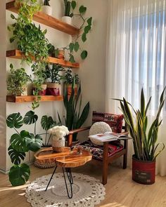 a living room filled with lots of green plants