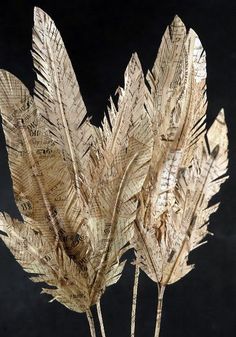 some very pretty dried plants in a glass vase