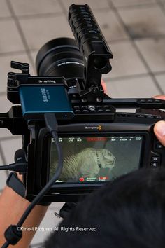 a person holding up a camera with a white tiger on it's display screen