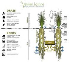 the diagram shows how to grow grass in pots and plant them on top of each other