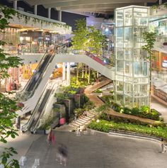 an escalator in the middle of a shopping mall