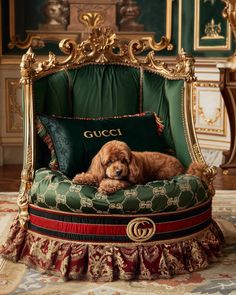 If only our canine friends also had the right to luxury. Art/Prompts by @ifonly.ai & @tinkertailorart AI-generated images (Midjourney) Gucci House Decor, Luxurious Dog Room, Luxury Dog Bedroom, Luxury Pet Room, Dog Bed Aesthetic, Creative Dog Bed, Fancy Dog Beds, Wooden Pet Bed, Dog Luxury