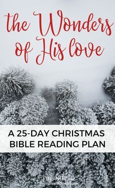 the wonders of his love christmas bible reading plan with snow covered trees and evergreens