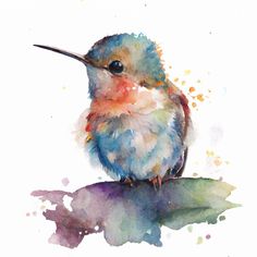 a watercolor painting of a hummingbird sitting on a branch