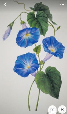 a painting of blue flowers with green leaves