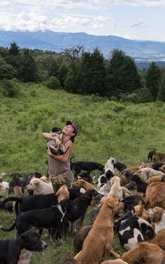 a man holding a dog in front of a large herd of dogs on a lush green hillside