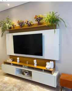 an entertainment center with plants on the top shelf and a flat screen tv mounted above it