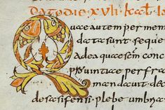 an illuminated manuscript with writing in orange and red on white paper, containing the initial letter d