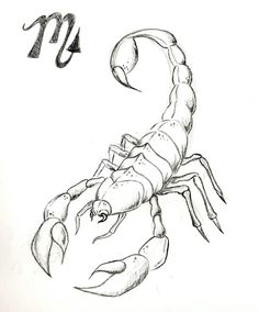 a drawing of a scorpion with the zodiac sign on it