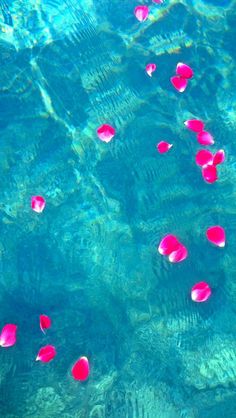 pink flowers floating in clear blue water on the ocean floor with ripples and bubbles