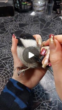 a person holding a small bird in their hand