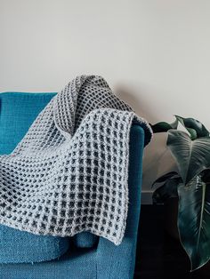 a blue couch with a blanket on it next to a potted plant in the corner