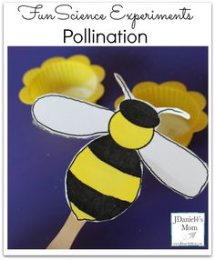 a paper plate that has a bee on it and the words fun science experiments pollination