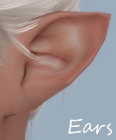 an artist's rendering of the side of a woman's ear