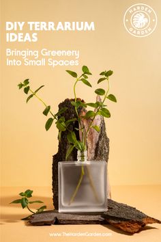 a plant in a glass vase sitting on top of a tree stump with the words diy terrarium ideas bringing greenery into small spaces