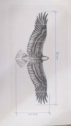 a drawing of a bird flying in the sky