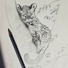 a pencil drawing of a cheetah cub laying on its back with it's eyes closed