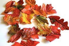 small autumn leaves arranged on a white surface