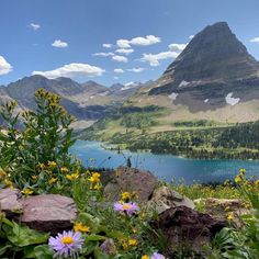 wildflowers in the foreground with mountains and water in the background on a sunny day