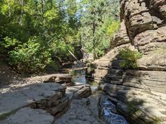 a river running through a forest filled with lots of rocks and trees on top of it