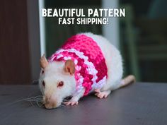 a white rat wearing a pink and white knitted sweater with the words beautiful pattern fast shipping