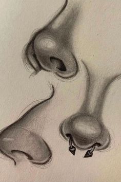 a pencil drawing of a dog's nose and nose