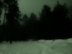 a snow covered path in the middle of a forest with trees on both sides and foggy skies above