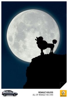 the silhouette of a dog standing on top of a hill in front of a full moon